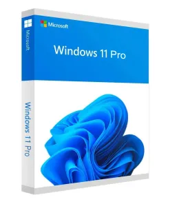 windows 11 pro