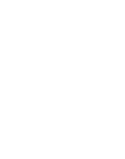 Key icon