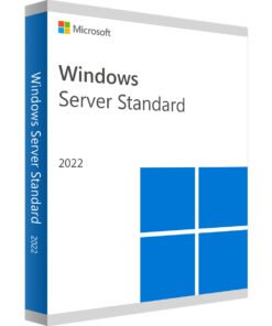 Windows Server 2022  Standard - Eenmalige aanschaf - Digitale licentie key