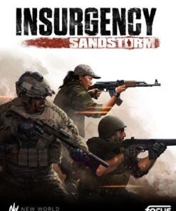 Insurgency: Sandstorm – Digitale Steam code